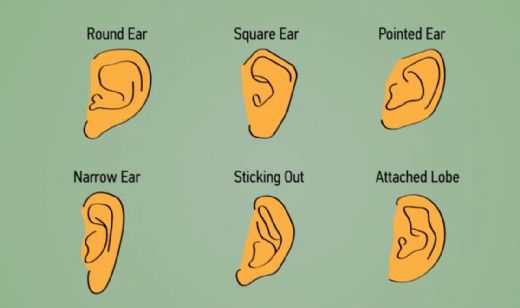 Kulak Estetiği Deformasyonları